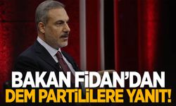 Bakan Fidan'dan DEM Partililere yanıt!