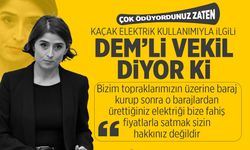 DEM'li vekil elektrik faturalarından rahatsız