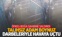 Ege’de öfkeli boğa sahibine saldırdı! Havada uçan adam ölümden döndü…