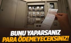 Elektrikte yeni dönem: Bunu yapan para ödemeyecek!