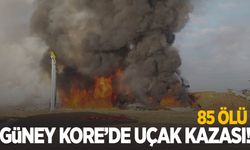 Güney Kore'de uçak kazası: 85 ölü