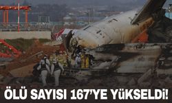 Güney Kore'deki uçak kazasında ölü sayısı 167'ye yükseldi