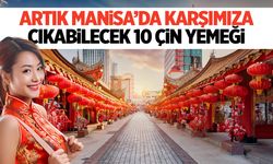 Çin Sokağı kurulursa Manisa'da karşımıza çıkacak 10 Çin yemeği!