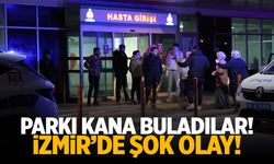 Parkta korku dolu anlar: 7 kişi yaralandı