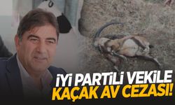 İYİ Parti Milletvekili Ünal Kahraman'a kaçak av cezası