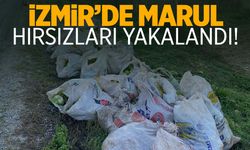 İzmir’de bir garip hırsızlık! Çuval çuval marul çaldılar!