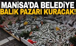 Manisa’da belediye balık pazarı kuracak!