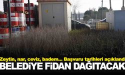 Manisa’da belediye ücretsiz fidan dağıtacak… İşte başvuru şartları!