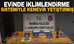 Manisa’da evinde iklimlendirme sistemiyle kenevir yetiştiren şahıs yakalandı