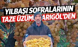 Sarıgöl'ün üzümü yılbaşı sofralarını süsleyecek!