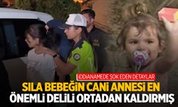 Sıla bebek davasında şok eden detaylar… Anne kanlı bezi çöpe atmış!