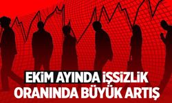 TÜİK ekim verilerini açıkladı! İşsiz sayısı 3 milyon 175 bine yükseldi!