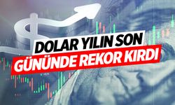 Yılın son gününde dolar rekor kırdı