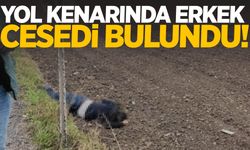 Yol kenarında erkek cesedi bulundu