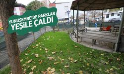 Yunusemre’de parklar yeşile döndü