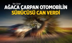 Ağaca çarpan otomobilin sürücüsü can verdi