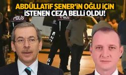 Anneannesini öldürmüştü: Abdüllatif Şener’in oğlu hakkında istenen ceza belli oldu!