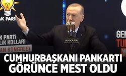 Cumhurbaşkanı Erdoğan'ın hoşuna giden pankart: Ger şunu biraz