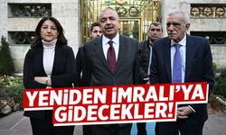 DEM Parti yeniden İmralı'ya gidecek