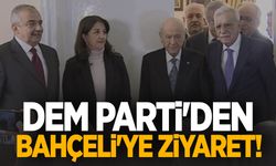 DEM Parti'den Bahçeli'ye ziyaret!