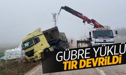 Ege’de gübre yüklü tır devrildi: 1 yaralı