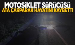 Aydın'da motosiklet sürücüsü ata çarparak hayatını kaybetti