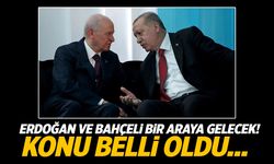 Erdoğan ve Bahçeli bir araya gelecek! Konu belli oldu...