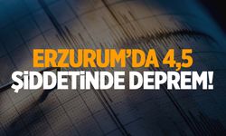 Erzurum’da 4,5 şiddetinde deprem!