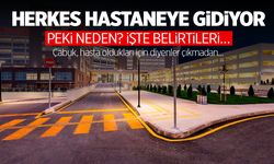 Herkes hastaneye gidiyor… Peki neden? İşte belirtileri…