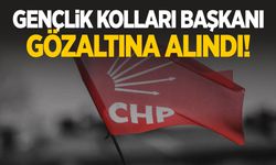 CHP Gençlik Kolları Başkanı gözaltına alındı!