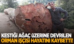 İzmir'de kestiği ağaç üzerine devrilen orman işçisi hayatını kaybetti