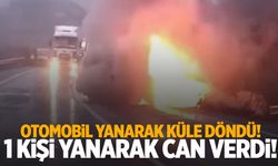 İzmir’deki kazada araç alev topuna döndü: 1 kişi yanarak can verdi!