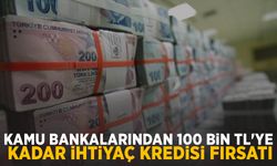 Kamu Bankalarından 100 bin TL'ye kadar ihtiyaç kredisi fırsatı