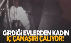 Girdiği evlerden kadın iç çamaşırı çalıyor!