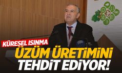 Küresel ısınma üzüm üretimini tehdit ediyor!