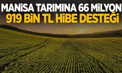 Manisa tarımına 66 milyon 919 bin TL hibe desteği