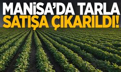 Manisa’da yatırım yapmak isteyenler dikkat! Tarla satışa çıkarıldı