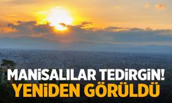 Manisalılar tedirgin! Yeniden görüldü…