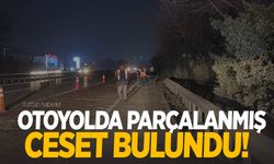 Otoyolda korkunç ölüm! Parçalanmış ceset bulundu!