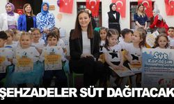 Şehzadeler’in ‘Süt Kardeşim’ projesine başvurular başladı