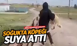 Soğukta köpeği köprüden suya attı!