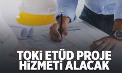 Toplu Konu İdaresi Başkanlığı etüd proje hizmeti alacak