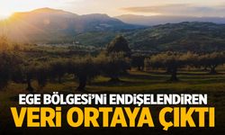 Tüm Ege Bölgesi’ni endişelendiren veri ortaya çıktı!