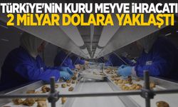 Türkiye, kuru meyvede global liderliğini güçlendiriyor