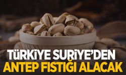 Türkiye, Suriye'den Antep fıstığı ithalatı için hazırlık yapıyor