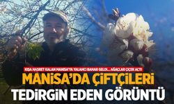 Yalancı bahar Manisa’da çiçek açtırdı! Çiftçiler tedirgin…