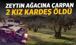 Zeytin ağacına çarpan 2 kız kardeş can verdi