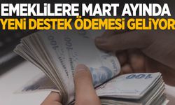 Emeklilere Mart ayında yeni destek ödemesi geliyor