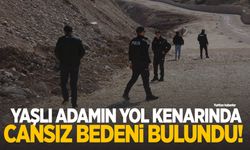 Yaşlı adam yol kenarında ölü bulundu