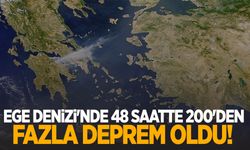 Ege Denizi'nde 48 saatte 200'den fazla deprem oldu!